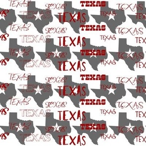 TEXAS typography with state outline