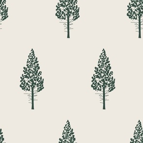 Mountain Pine in Fog and Spruce Green x Large