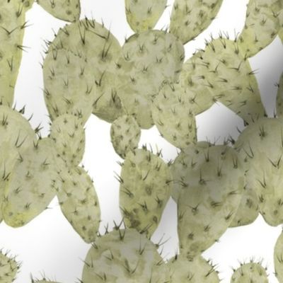 Prickly Pear Opuntia Cactus - Green on White