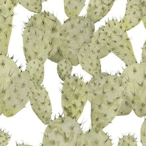 Prickly Pear Opuntia Cactus - Green on White