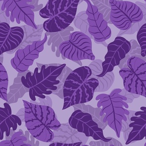 Purple tropical leaves