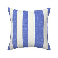 Cabana Irregular Stripes Blue and White
