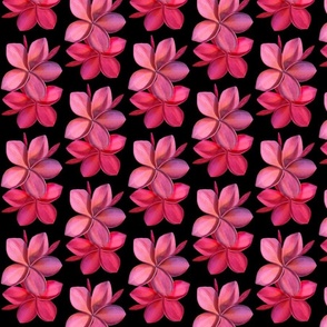 Double Red Plumeria-simple -black bkg