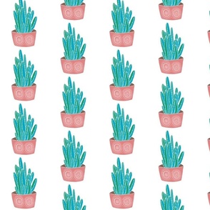 cactus in pink pots - medium