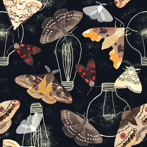 Moths and lights on graphite - large scale 11161e