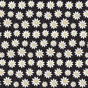 White daisies on a black background with spirals 