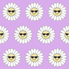 Cool daisies on mauve