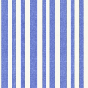 Cabana Irregular Stripes Blue and White Smaller