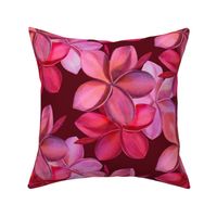 medium-Double Red Plumeria-claret bkg