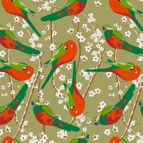 King Parrot Birds in Floral Blossom / Avocado Green, Red, White