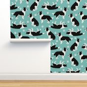 Border Collie and Paw Print Blue