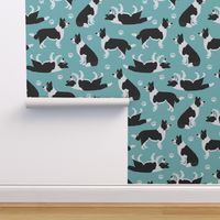 Border Collie and Paw Print Blue