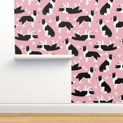 Border Collie and Paw Print Pink