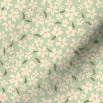 Tiny delicate cream flowers on pastel green