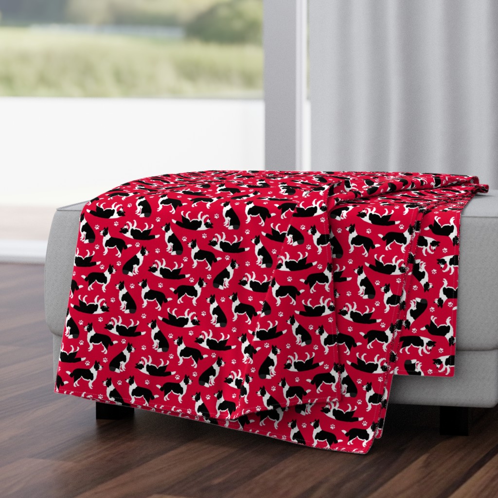 Border Collie and Paw Print Red