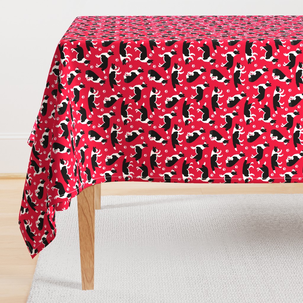 Border Collie and Paw Print Red