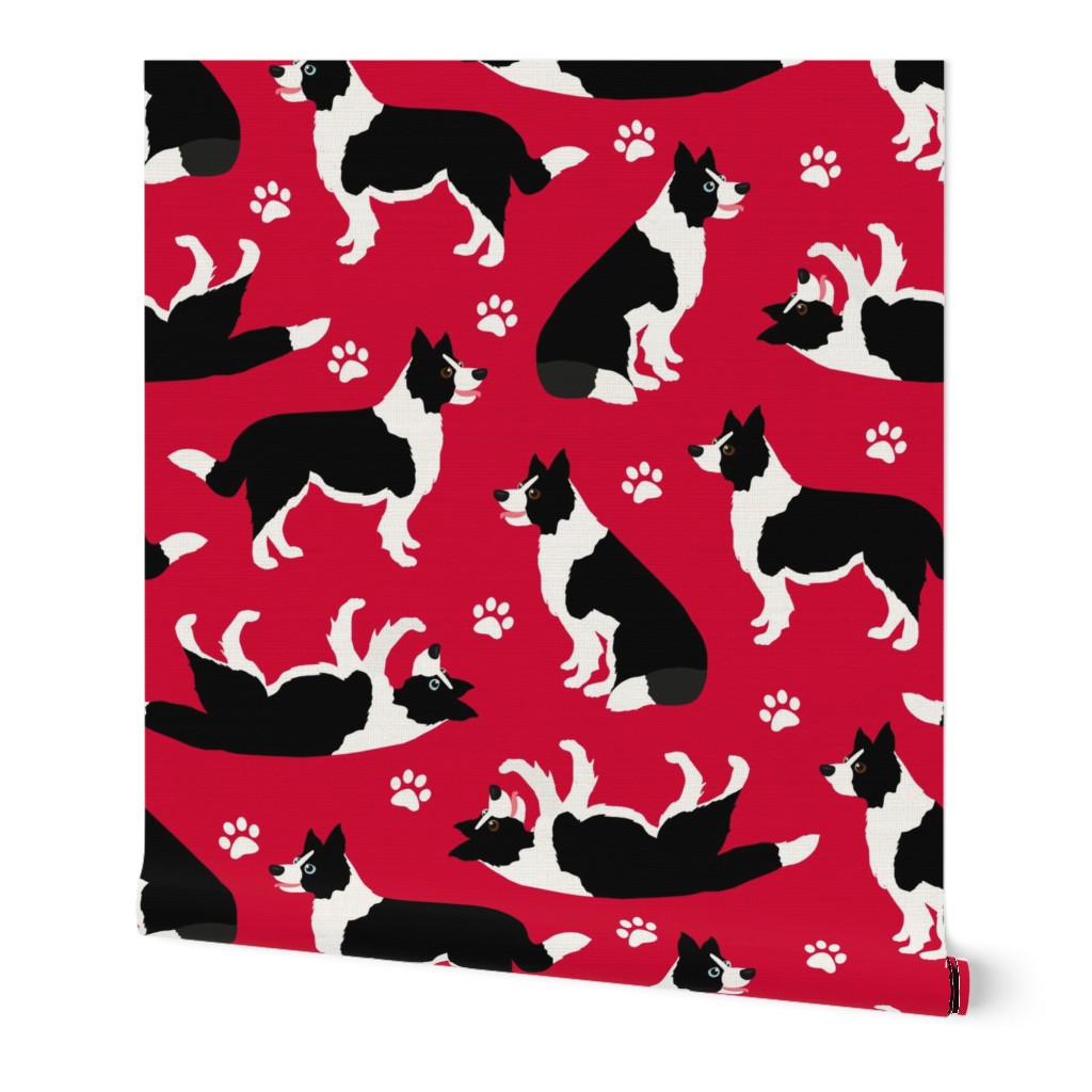 Border Collie and Paw Print Red