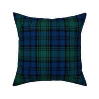 Kerr tartan, 3-stripe variant, rectangular 5.75x5.44" hunting muted, slubbed stripe