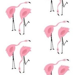 Pink flamingos II