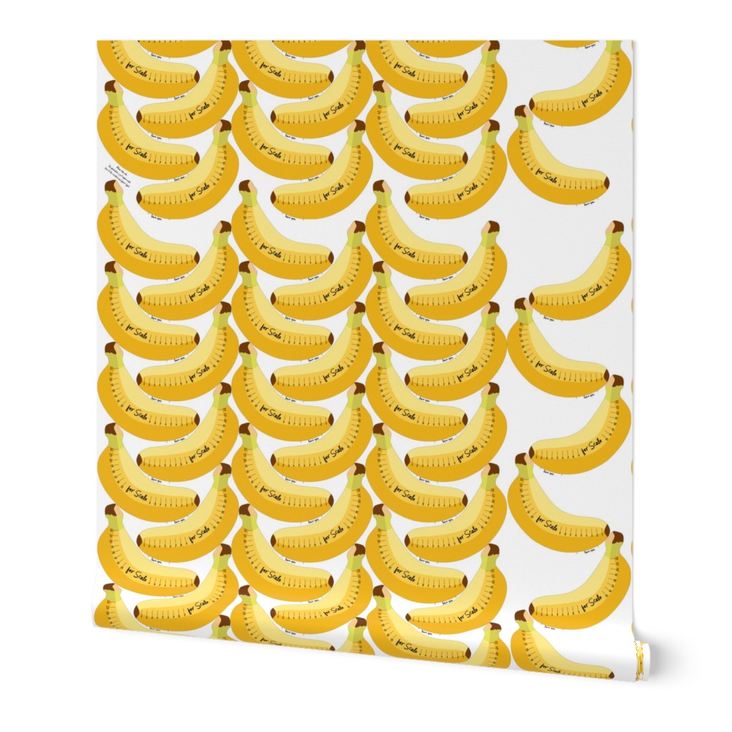 Banana for Scale Graduation in cm Optimized for 1 Meter of PSC