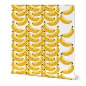 Banana for Scale Graduation in cm Optimized for 1 Meter of PSC