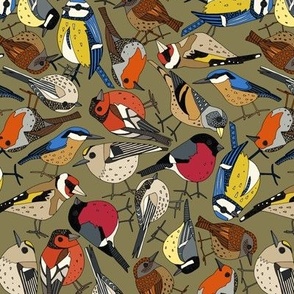 winter garden birds olive small