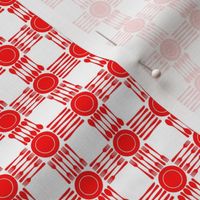 picnic gingham, red and white, 1/2" squares