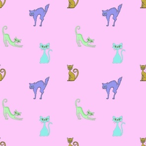 Cats on pink