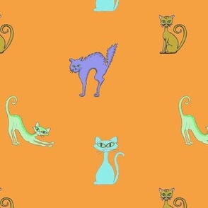 Cats on orange