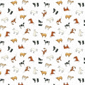 Scattered Cattle on spotty white - small-medium scale