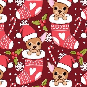 Cute chihuahua Christmas stocking deep red