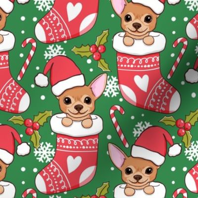 Cute chihuahua Christmas stocking green