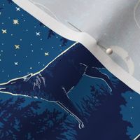 Night in the forest - moonlight and nocturnal animals - small scale