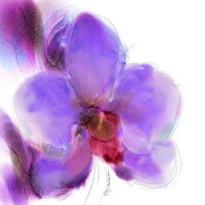 Afternoon Orchid Love  for Summer Pillow collection