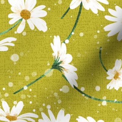 Daisies - April Birth Flower | M size | 12" I on Apple green