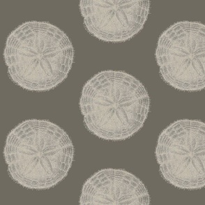 Vintage Sand Dollar Illustration - Greige