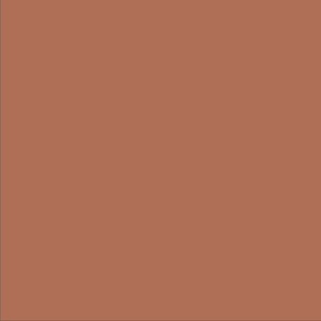 Solid Color -  Light Terracotta