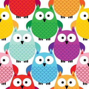 Large Scale Colorful Owls Rainbow Assortment on White