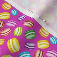 Small Scale Colorful Macaron Cookies