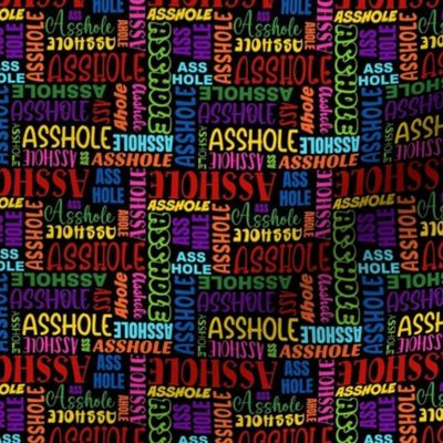 Small Scale Asshole Colorful Rainbow Sarcastic Rude Swear Words on Black