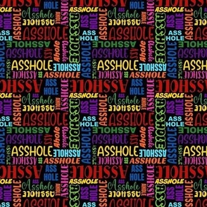 Small Scale Asshole Colorful Rainbow Sarcastic Rude Swear Words on Black
