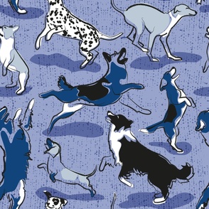 Large jumbo scale // Dogs joy // monochromatic blue // Greyhound Beagle black Border Collie German Shepherd Dalmatian Golden Retriever French Bulldog and Dachshund dog breeds jumping 