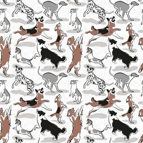 Tiny scale // Dogs joy // white background grey details // Greyhound Beagle black Border Collie German Shepherd Dalmatian Golden Retriever French Bulldog and Dachshund dog breeds jumping