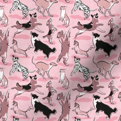 Tiny scale // Dogs joy // monochromatic pink // Greyhound Beagle black Border Collie German Shepherd Dalmatian Golden Retriever French Bulldog and Dachshund dog breeds jumping