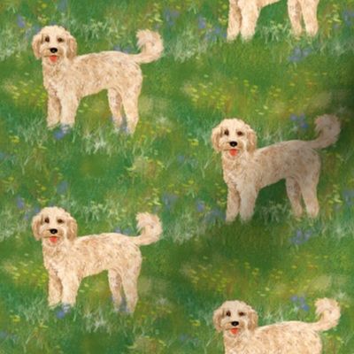 Custom cockapoo dog in wildflower field