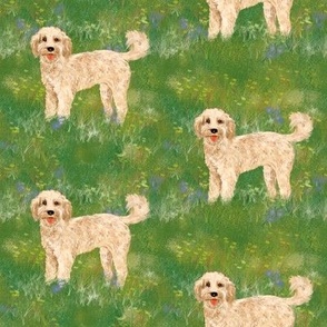 Custom cockapoo dog in wildflower field