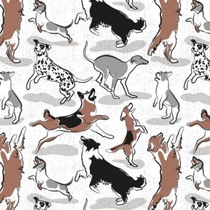 Small scale // Dogs joy // white background grey details // Greyhound Beagle black Border Collie German Shepherd Dalmatian Golden Retriever French Bulldog and Dachshund dog breeds jumping