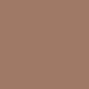 Mid-tone Brown Taupe Solid Color Coordinates w/ 2022 Spring/Summer Trending Hue by Coloro Wild Mushroom 024-51-12 - Colour Trends - Hue - Shades