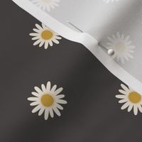 Cream Daisies on Black