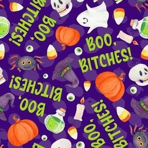 Medium Scale Boo Bitches Sarcastic Sweary Halloween Ghosts Pumpkins Witch Hats